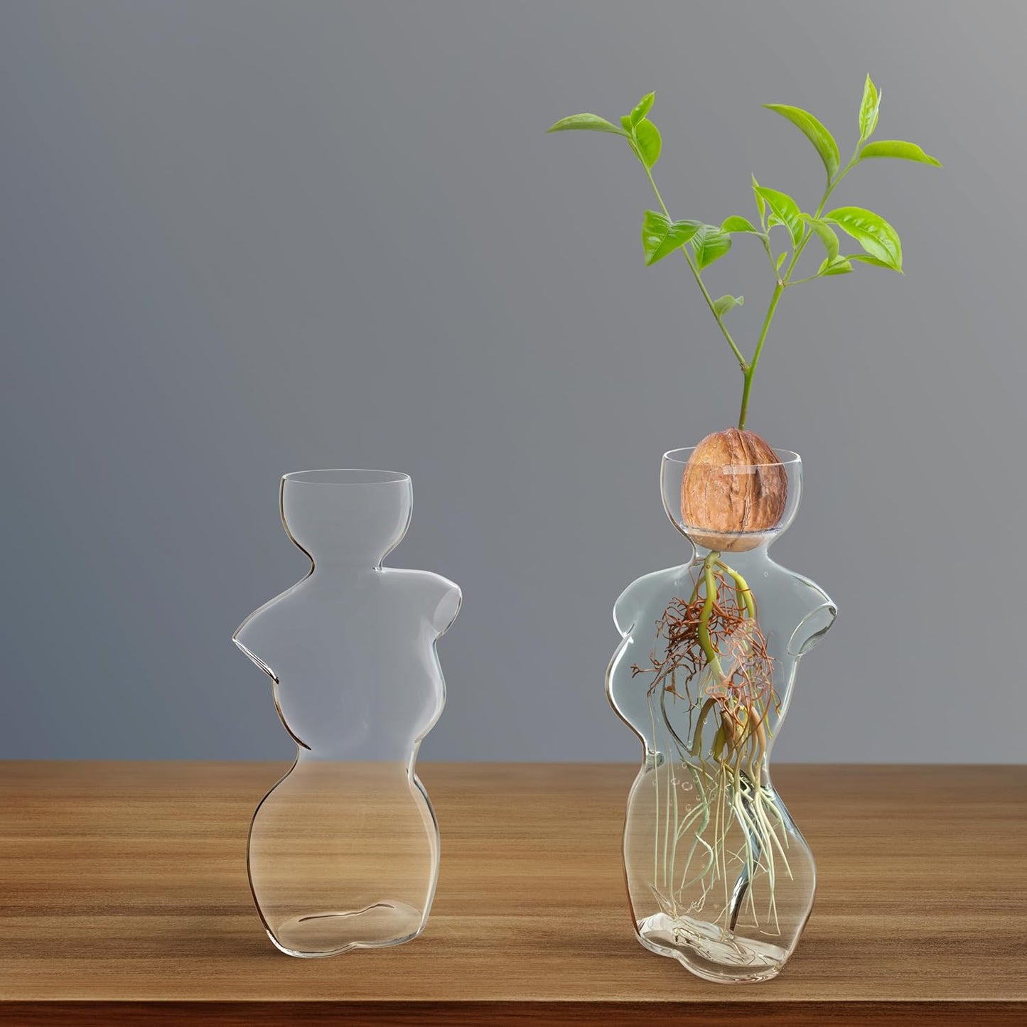 Silhouette Glass Propagation Vase