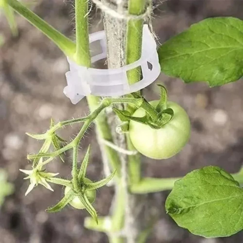 🥬Reusable Plant Support Clips (100 clips)