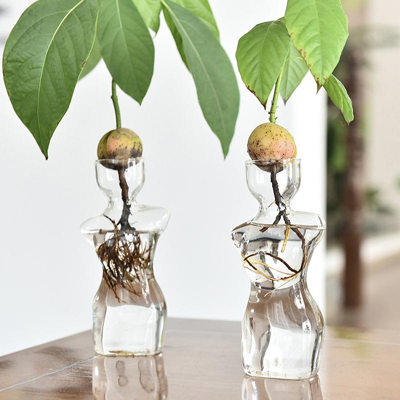 Silhouette Glass Propagation Vase