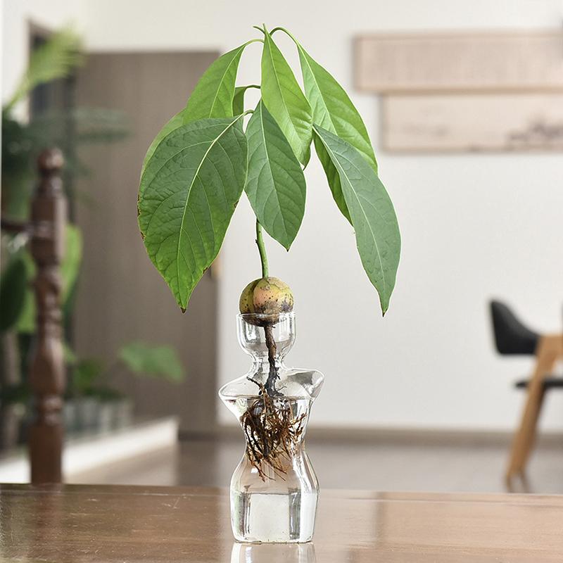 Silhouette Glass Propagation Vase
