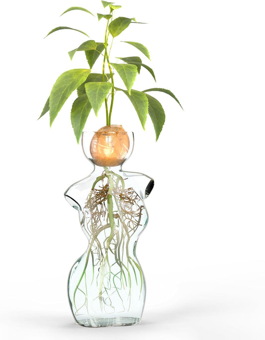 Silhouette Glass Propagation Vase