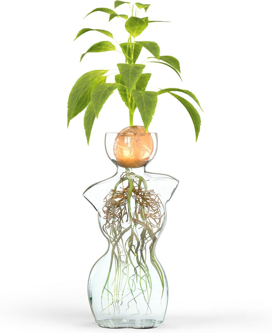 Silhouette Glass Propagation Vase