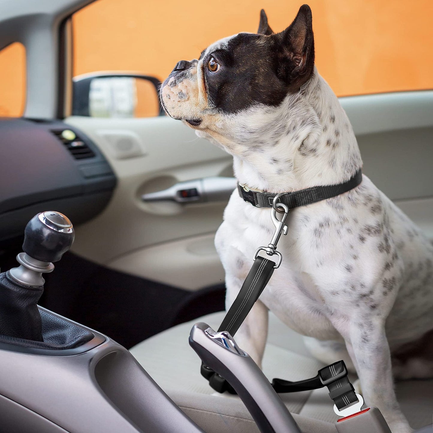 🐱🐶 Pet Seatbelts – Adjustable Safety Leads