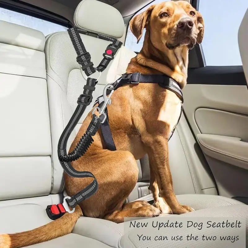 🐱🐶 Pet Seatbelts – Adjustable Safety Leads